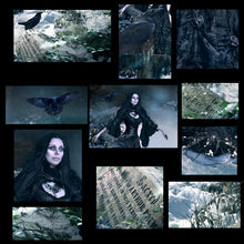 Load image into Gallery viewer, Fine art photography "Learning To Fly"