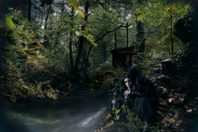 Load image into Gallery viewer, This eerie fairytale will add vintage charm to your home decor.
