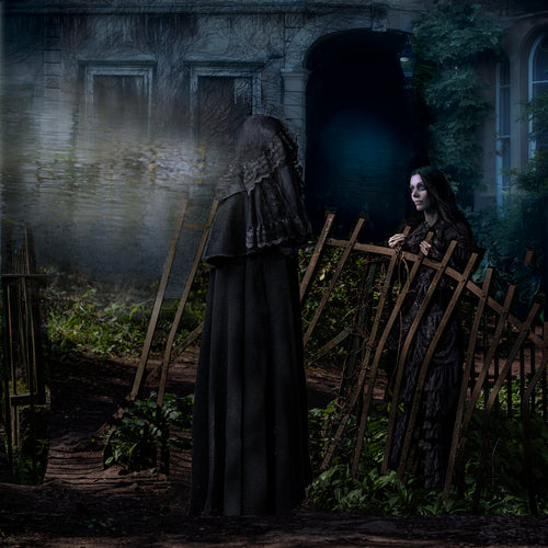 Victorian-gothic fine art photography with painterly detail